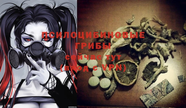 хмурый Липки
