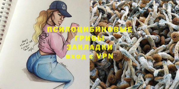 хмурый Липки
