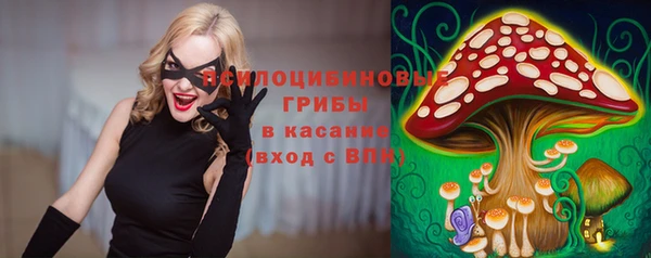 хмурый Липки