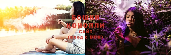 хмурый Липки